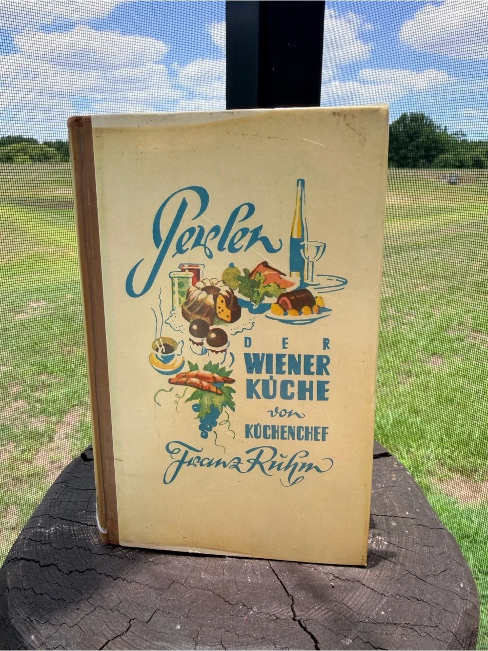 Vintage Der Wiener Küche Cookbook by Franz Ruhm - Cream and Blue